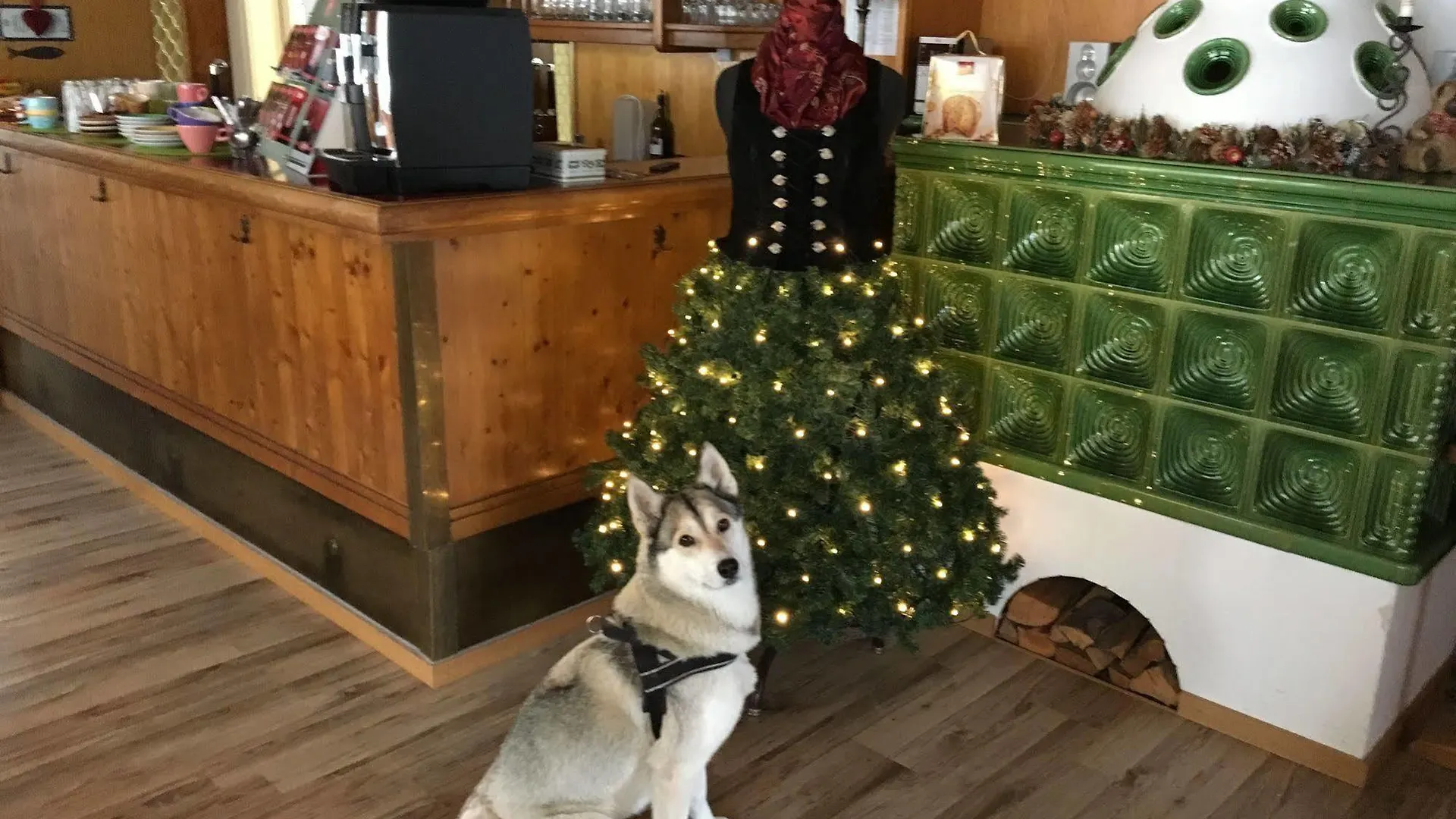 Hotel Pension Schwansee Швангау 2*,  Германия